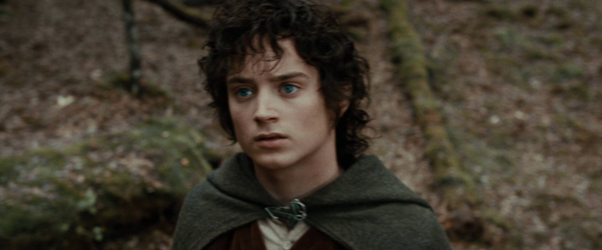 The Lord of the Rings: The Fellowship of the Ring (2001) movie still 21406