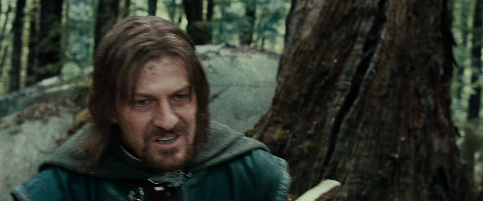 The Lord of the Rings: The Fellowship of the Ring (2001) screencap 21408