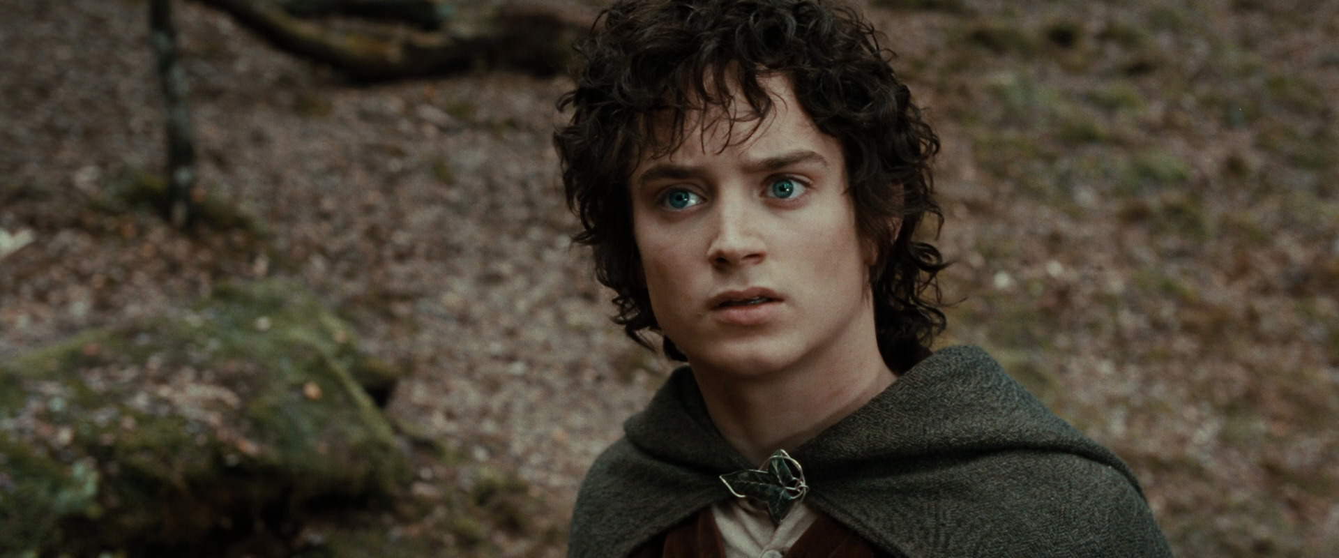 The Lord of the Rings: The Fellowship of the Ring (2001) screencap 21411