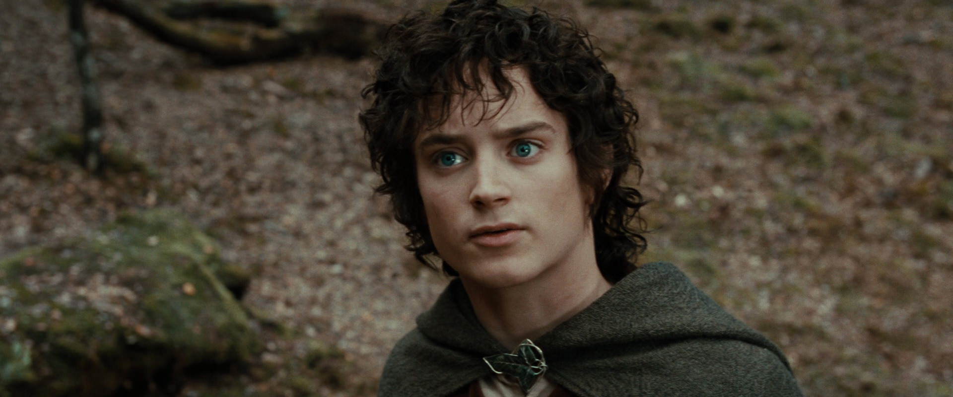 The Lord of the Rings: The Fellowship of the Ring (2001) movie still 21412