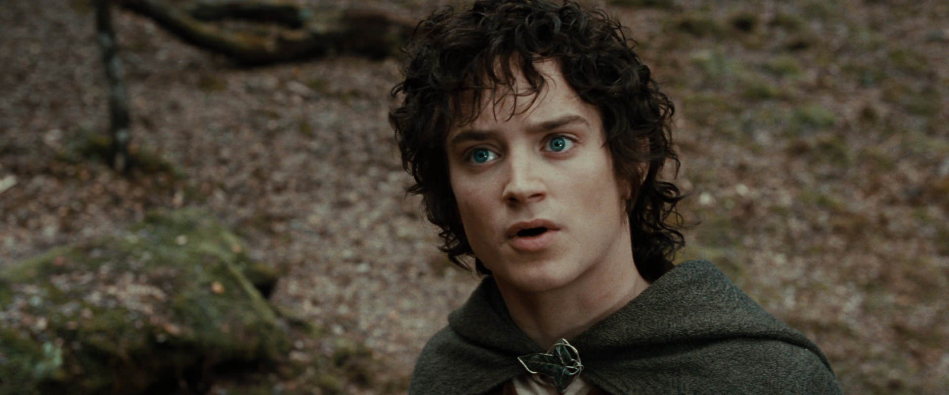 The Lord of the Rings: The Fellowship of the Ring (2001) HD screenshot 21413