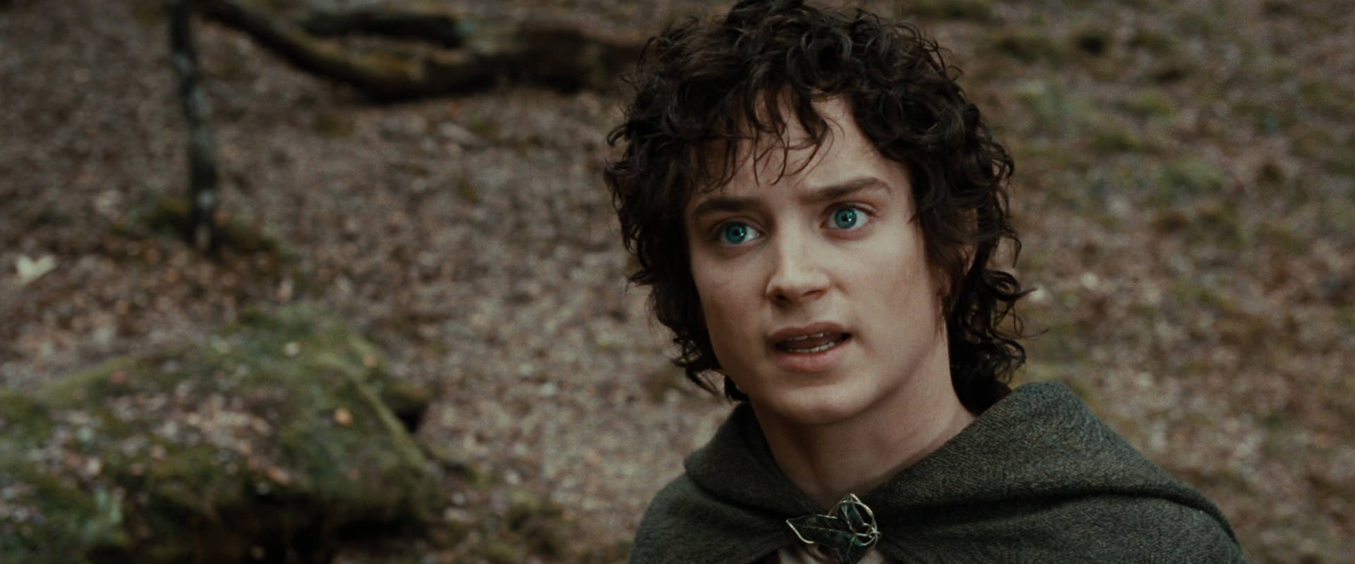 The Lord of the Rings: The Fellowship of the Ring (2001) screencap 21414