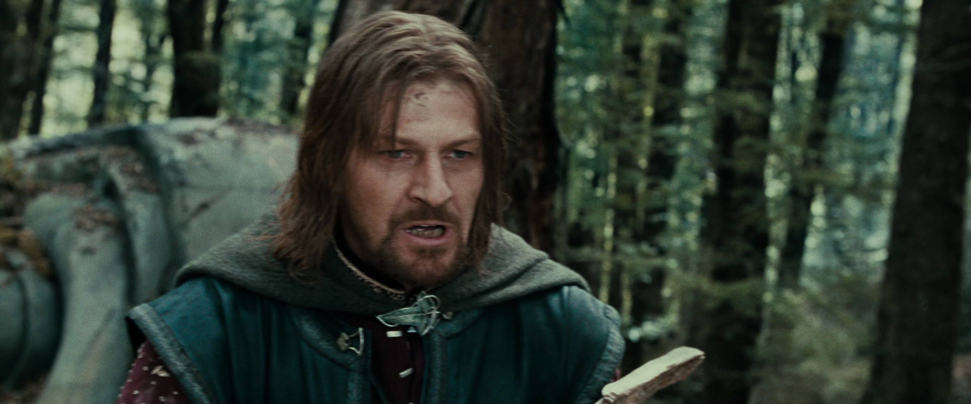 The Lord of the Rings: The Fellowship of the Ring (2001) screencap 21417