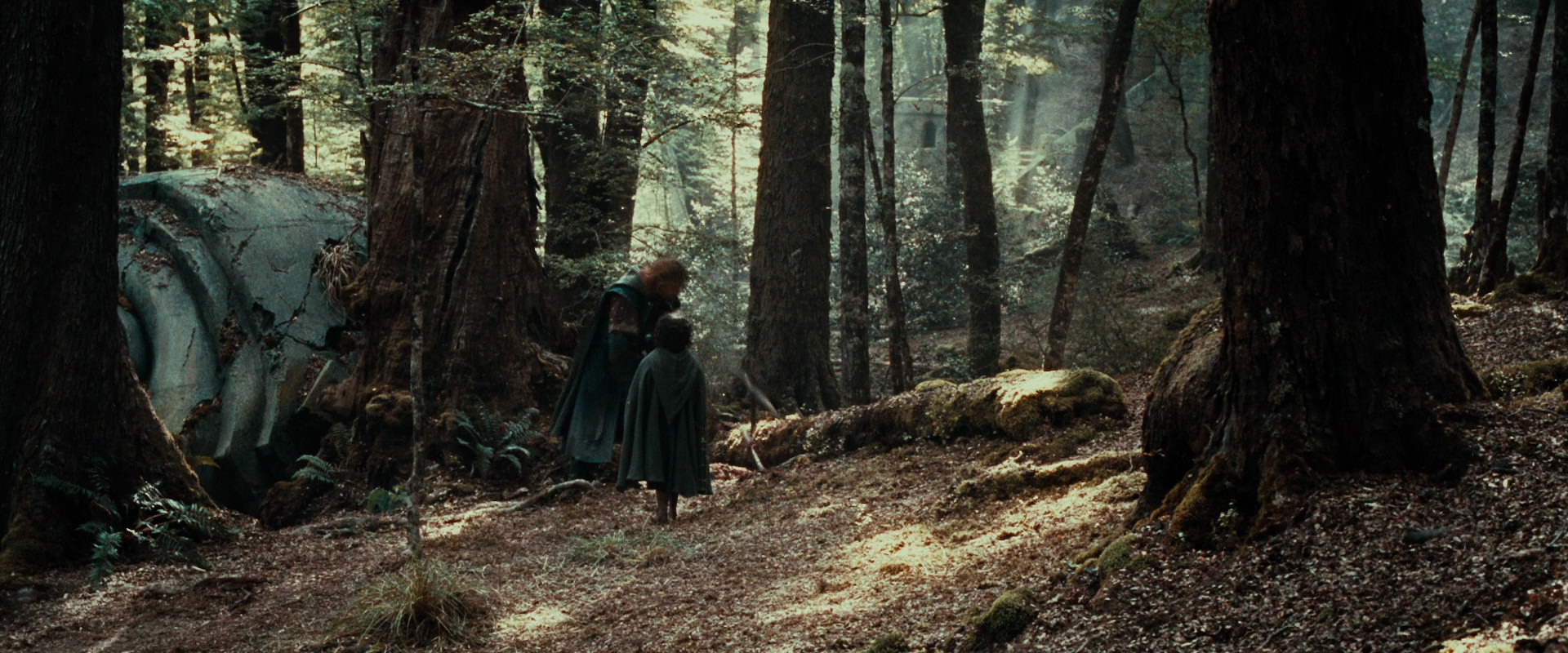 The Lord of the Rings: The Fellowship of the Ring (2001) movie still 21424