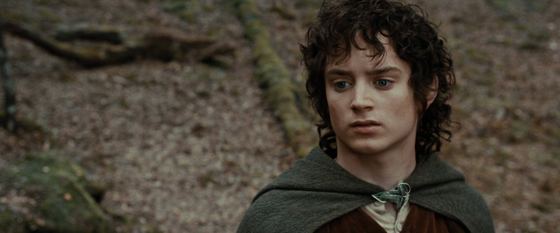 The Lord of the Rings: The Fellowship of the Ring (2001) HD screenshot 21425