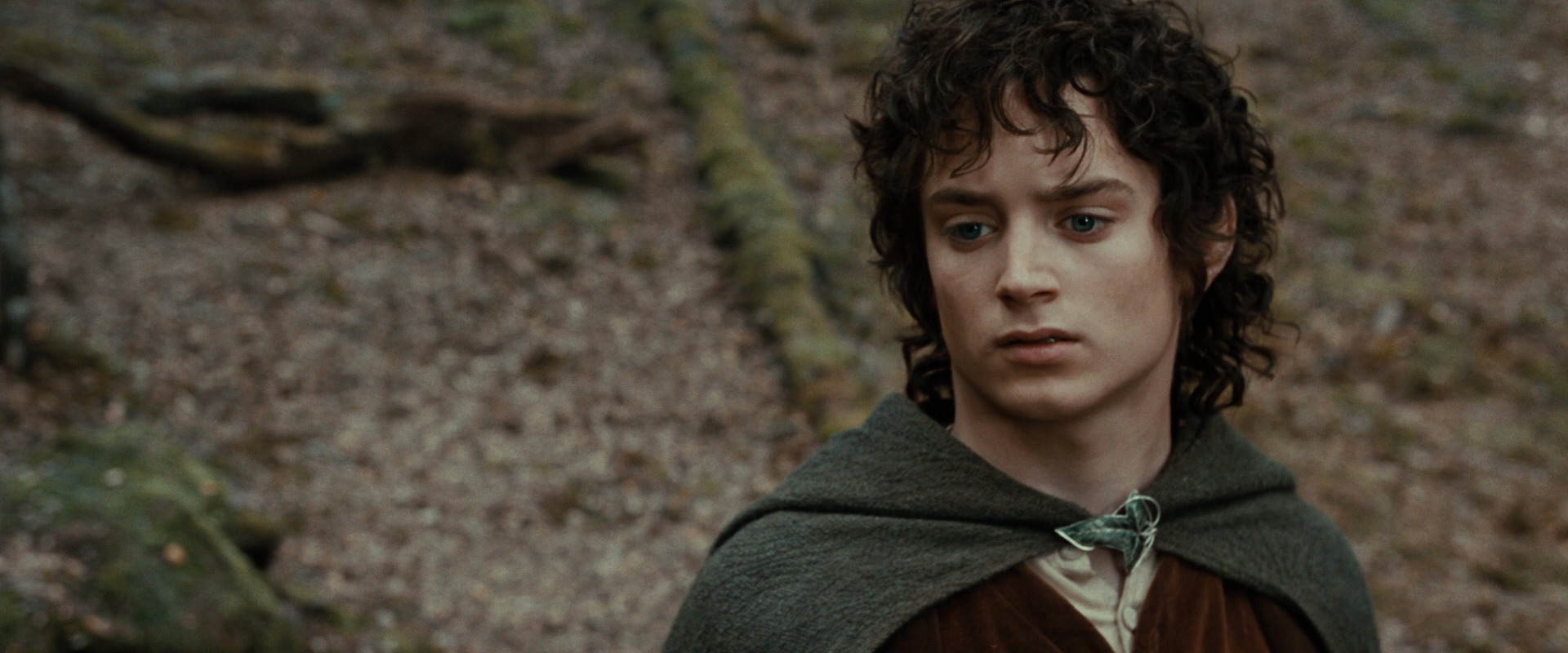 The Lord of the Rings: The Fellowship of the Ring (2001) screencap 21426