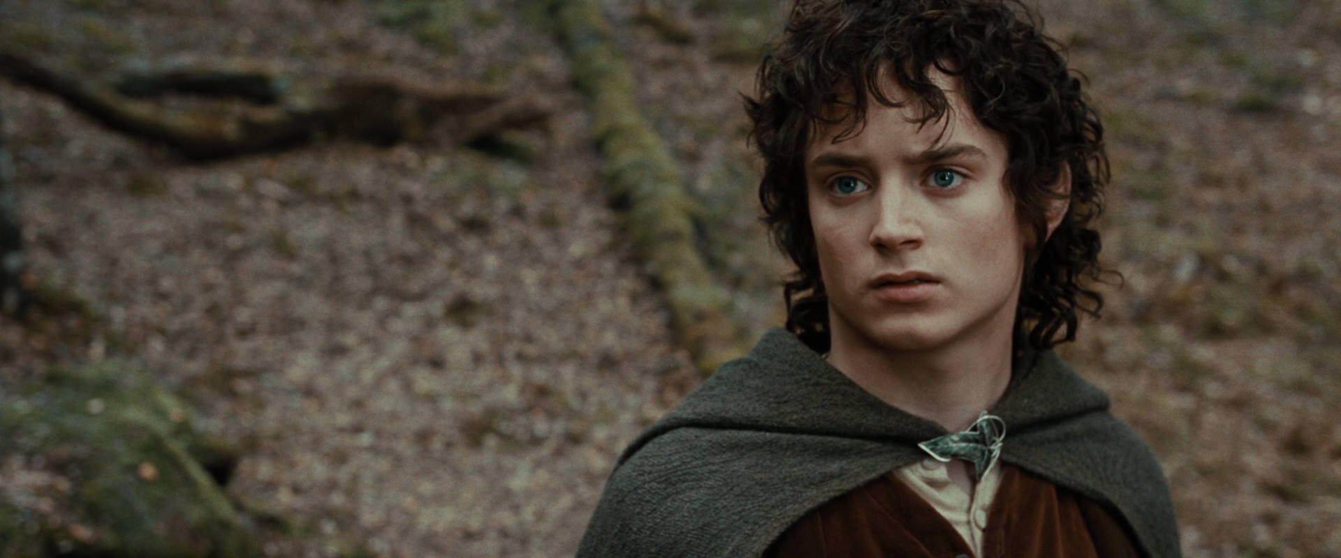 The Lord of the Rings: The Fellowship of the Ring (2001) movie still 21427