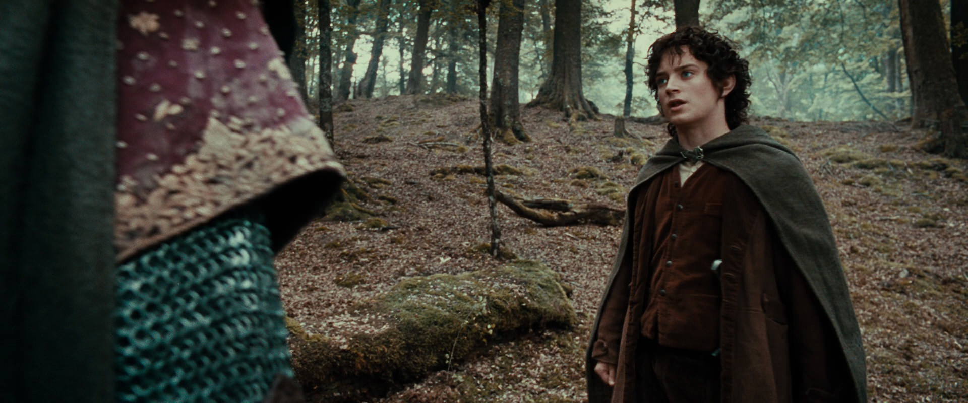 The Lord of the Rings: The Fellowship of the Ring (2001) HD screenshot 21431