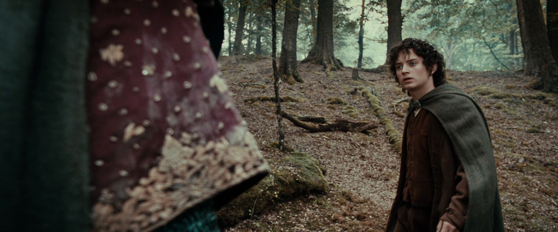 The Lord of the Rings: The Fellowship of the Ring (2001) screencap 21432