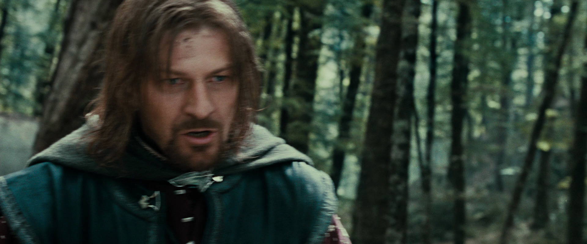 The Lord of the Rings: The Fellowship of the Ring (2001) movie still 21433