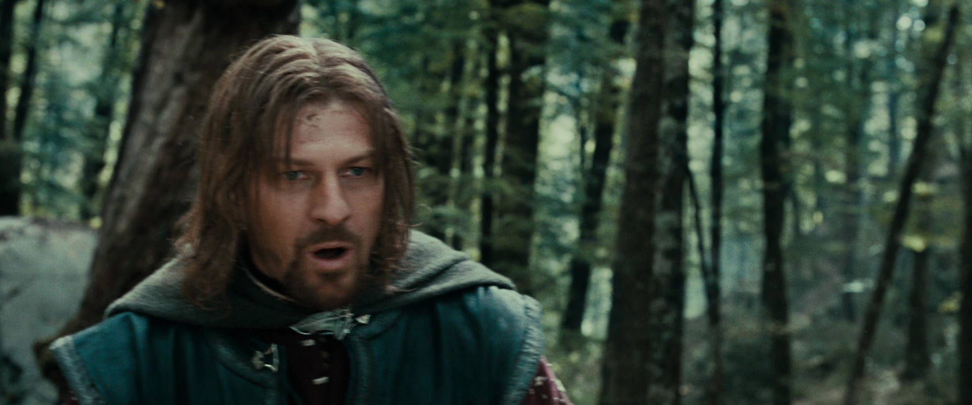 The Lord of the Rings: The Fellowship of the Ring (2001) screencap 21435