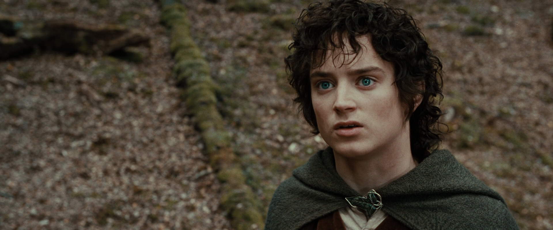 The Lord of the Rings: The Fellowship of the Ring (2001) movie still 21439