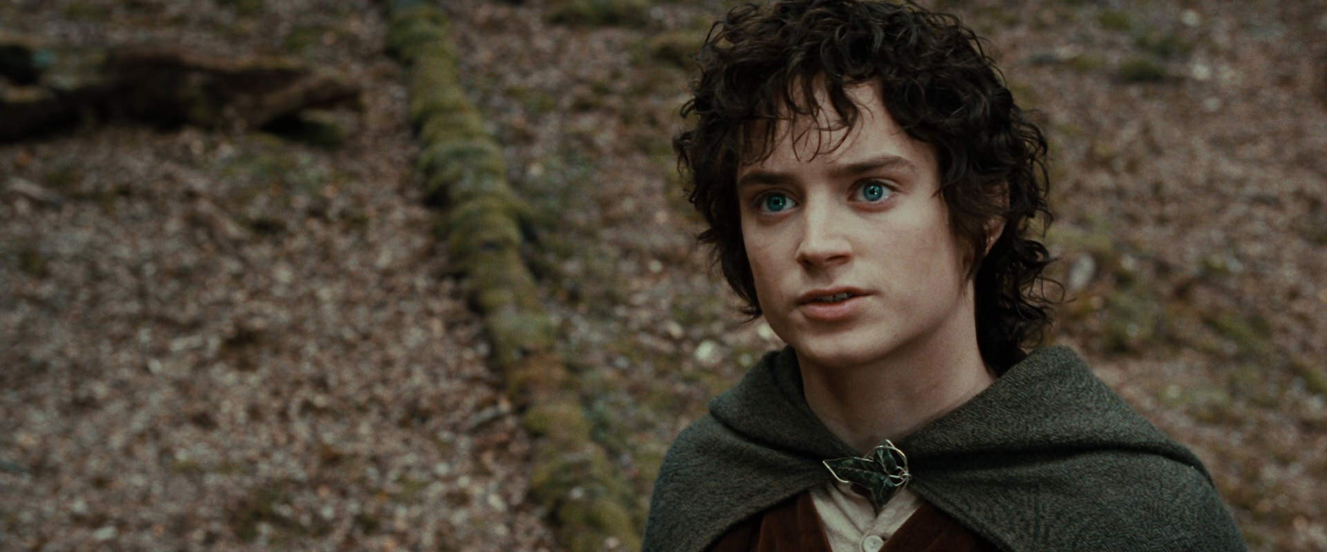 The Lord of the Rings: The Fellowship of the Ring (2001) HD screenshot 21440