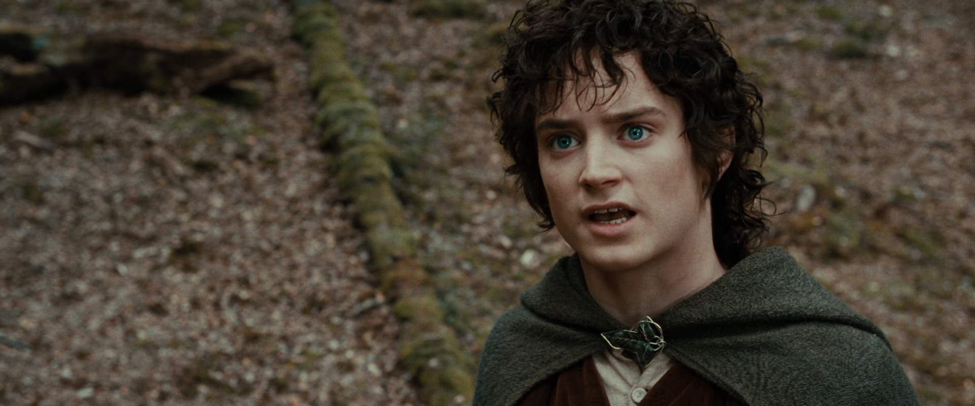 The Lord of the Rings: The Fellowship of the Ring (2001) screencap 21441