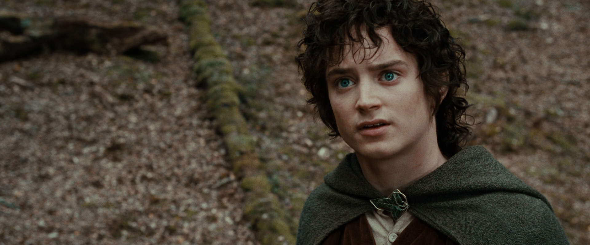 The Lord of the Rings: The Fellowship of the Ring (2001) movie still 21442