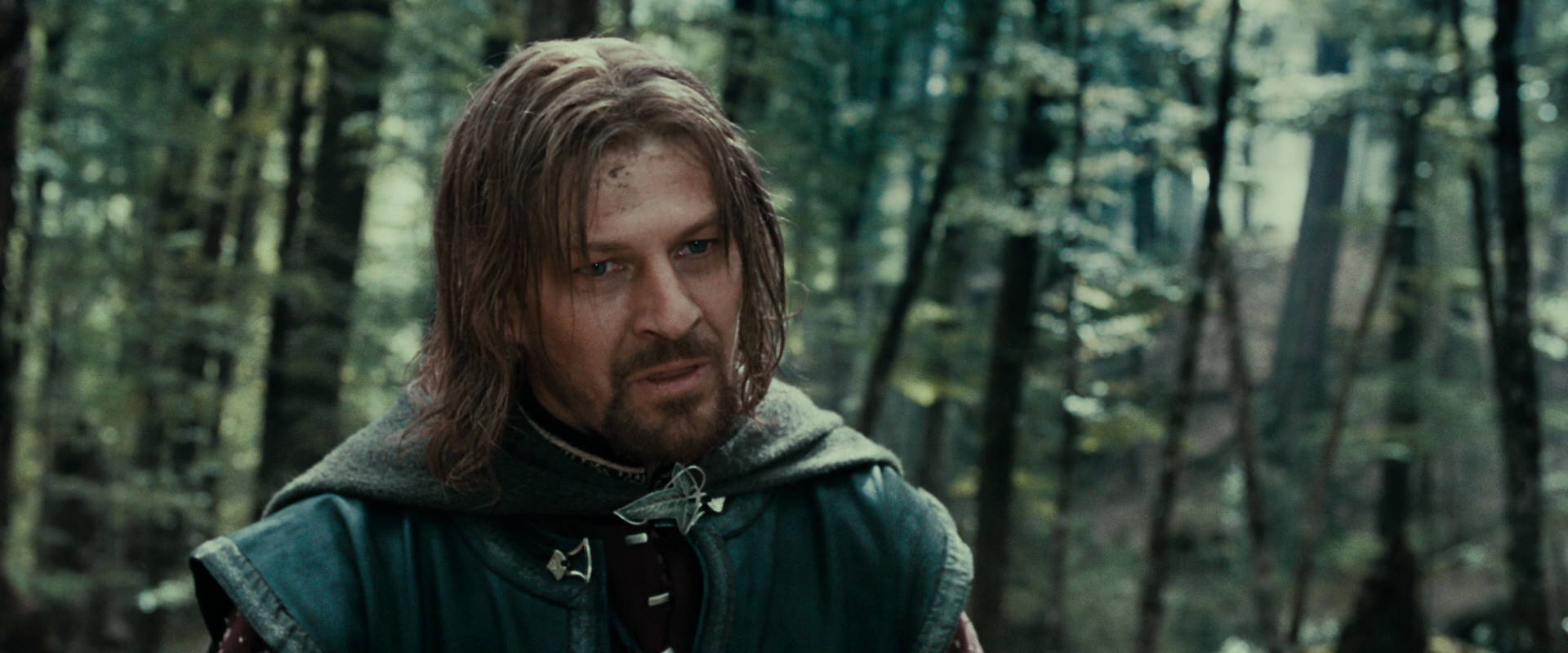 The Lord of the Rings: The Fellowship of the Ring (2001) screencap 21444