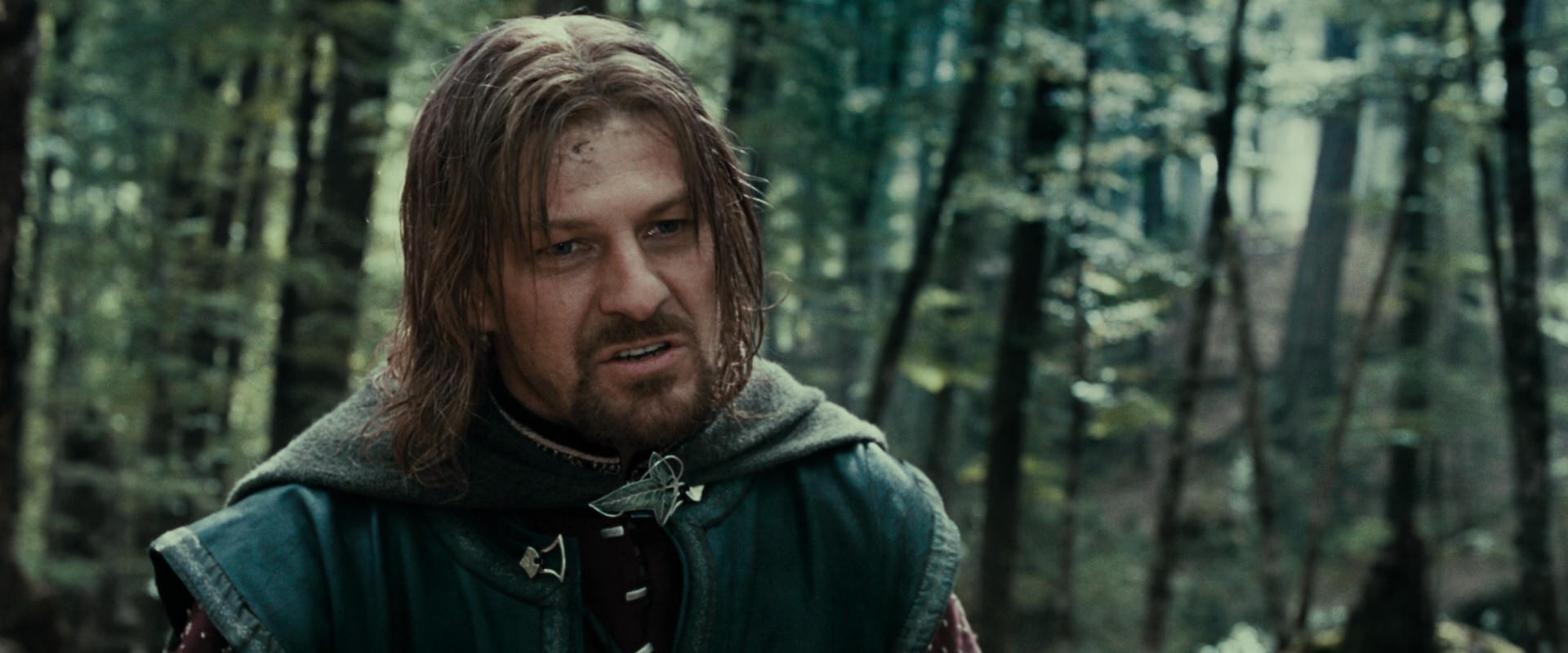 The Lord of the Rings: The Fellowship of the Ring (2001) screencap 21447