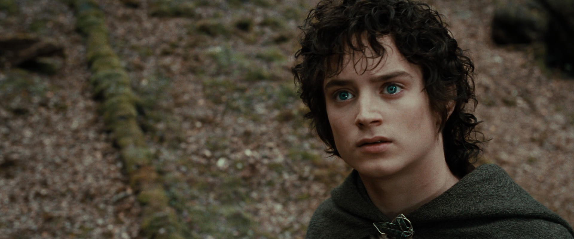 The Lord of the Rings: The Fellowship of the Ring (2001) movie still 21451
