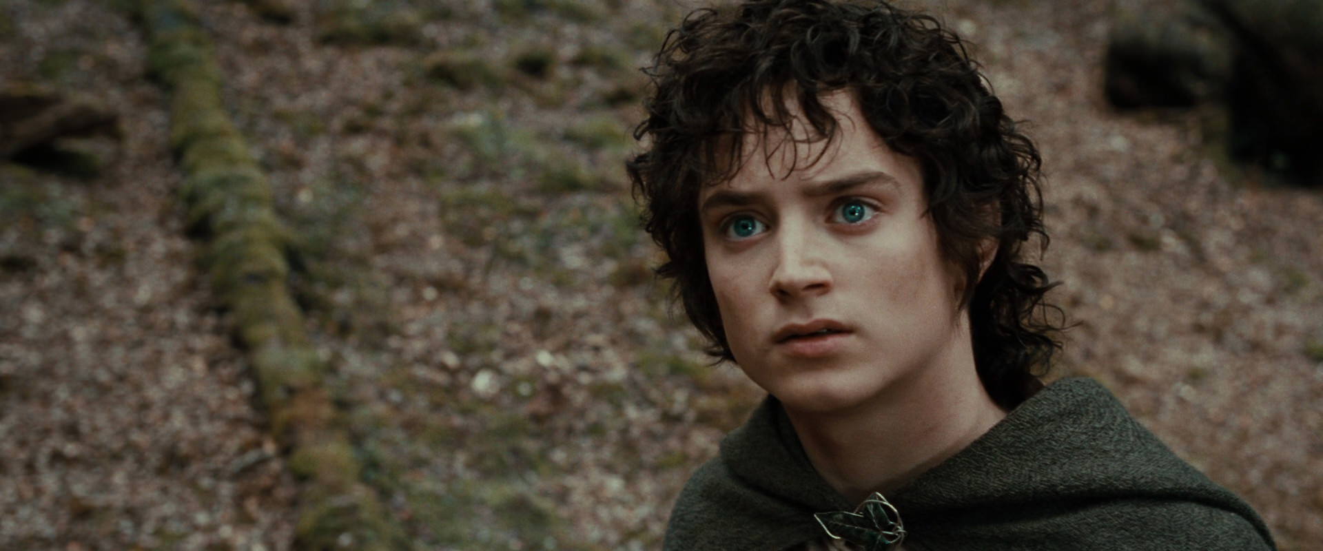 The Lord of the Rings: The Fellowship of the Ring (2001) HD screenshot 21452