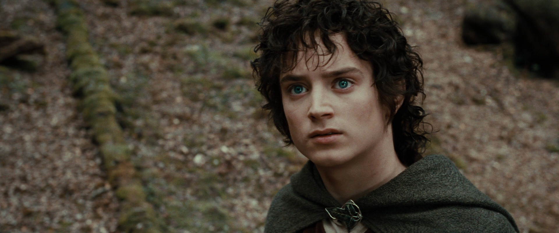 The Lord of the Rings: The Fellowship of the Ring (2001) screencap 21453