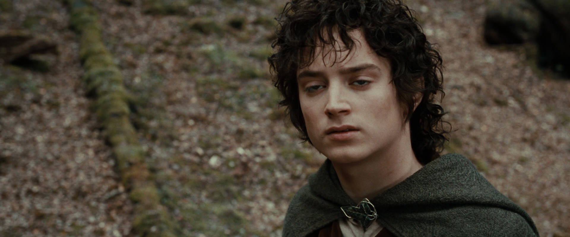 The Lord of the Rings: The Fellowship of the Ring (2001) movie still 21454