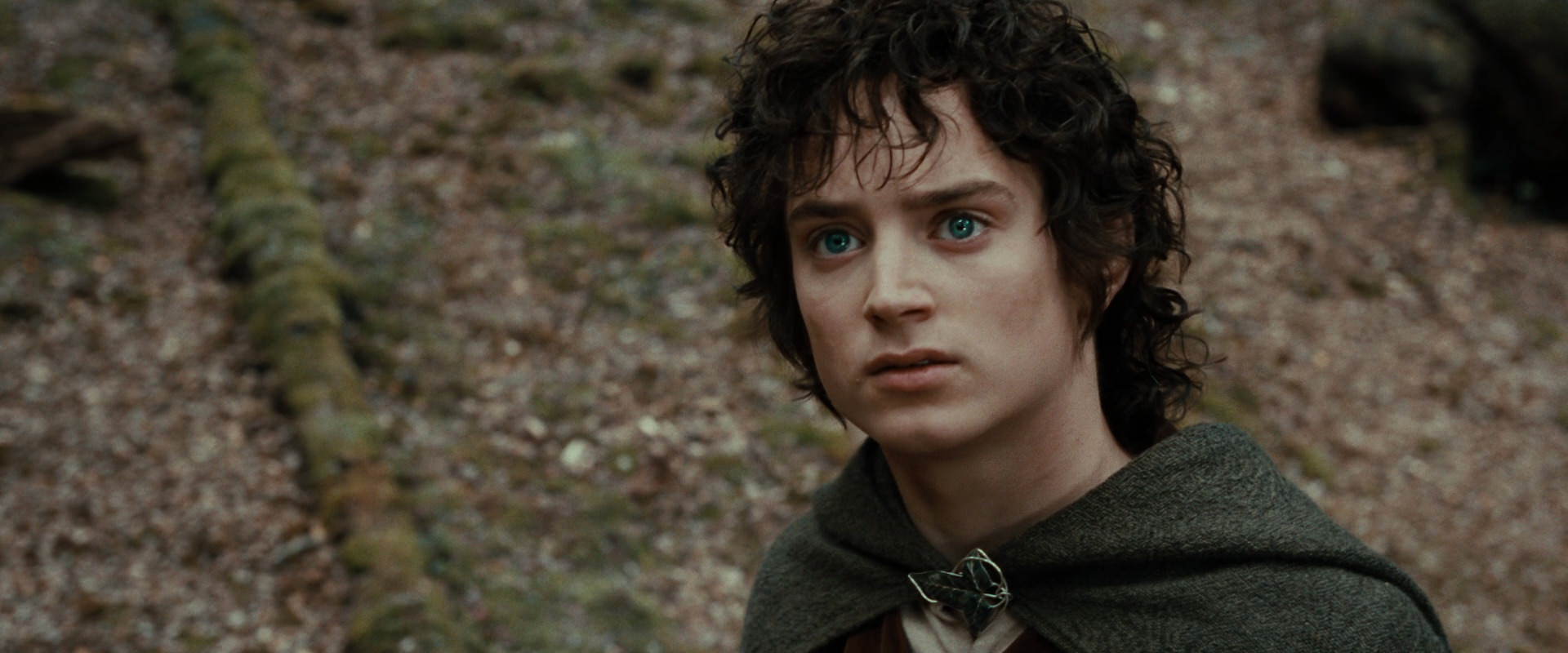 The Lord of the Rings: The Fellowship of the Ring (2001) HD screenshot 21455
