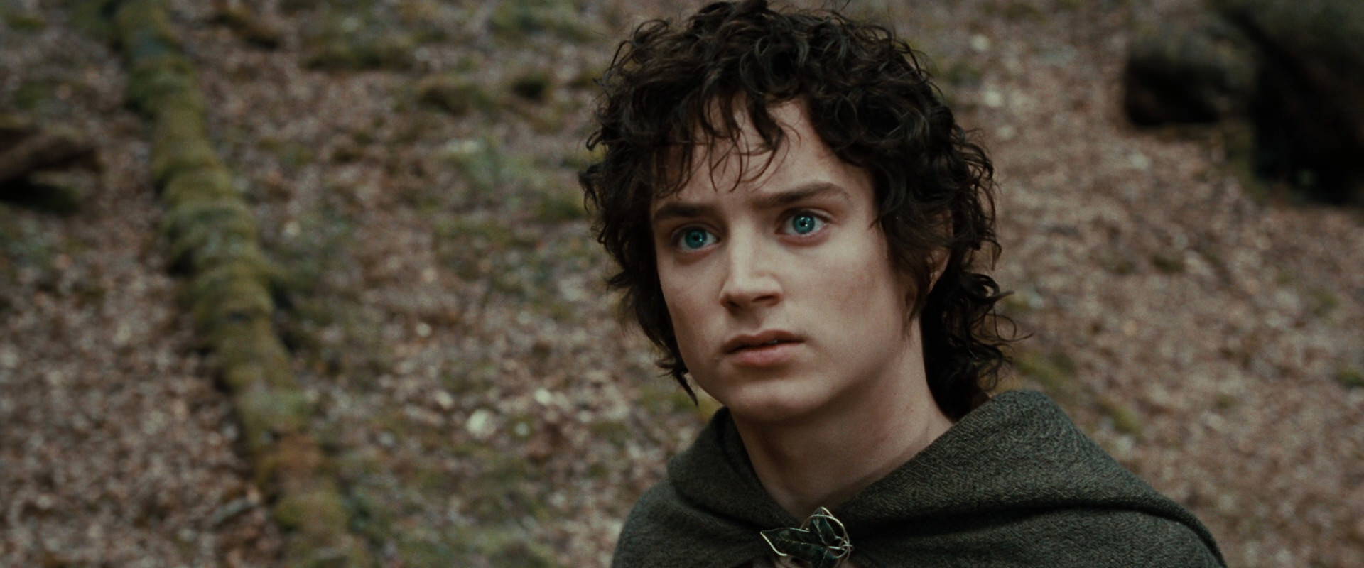 The Lord of the Rings: The Fellowship of the Ring (2001) screencap 21456