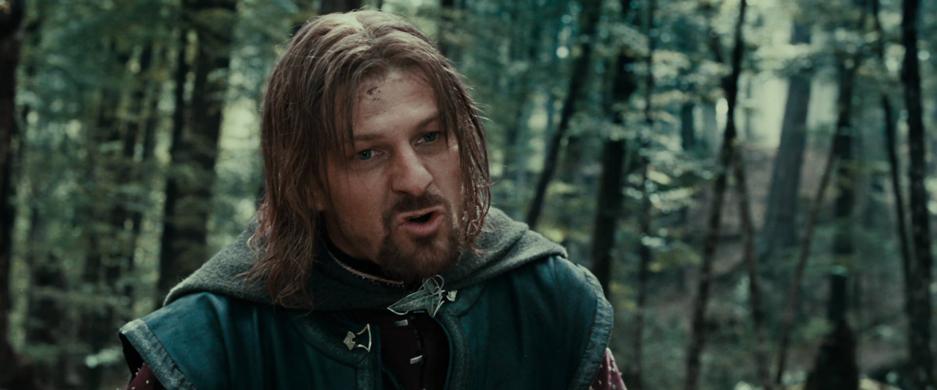 The Lord of the Rings: The Fellowship of the Ring (2001) screencap 21459