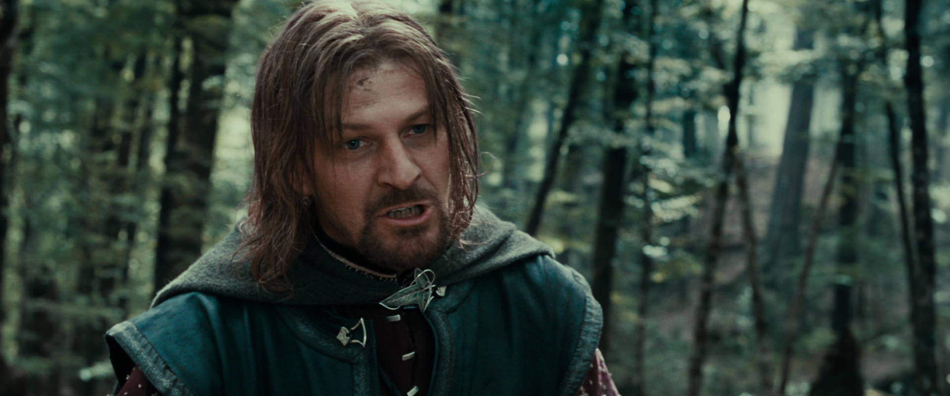 The Lord of the Rings: The Fellowship of the Ring (2001) screencap 21462