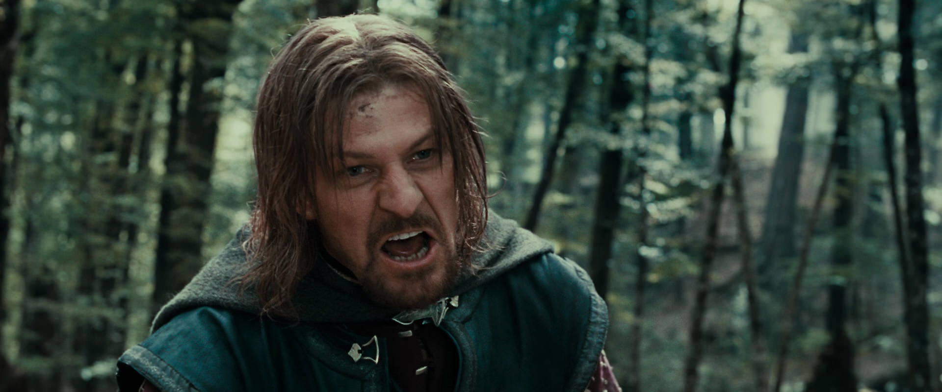 The Lord of the Rings: The Fellowship of the Ring (2001) screencap 21465
