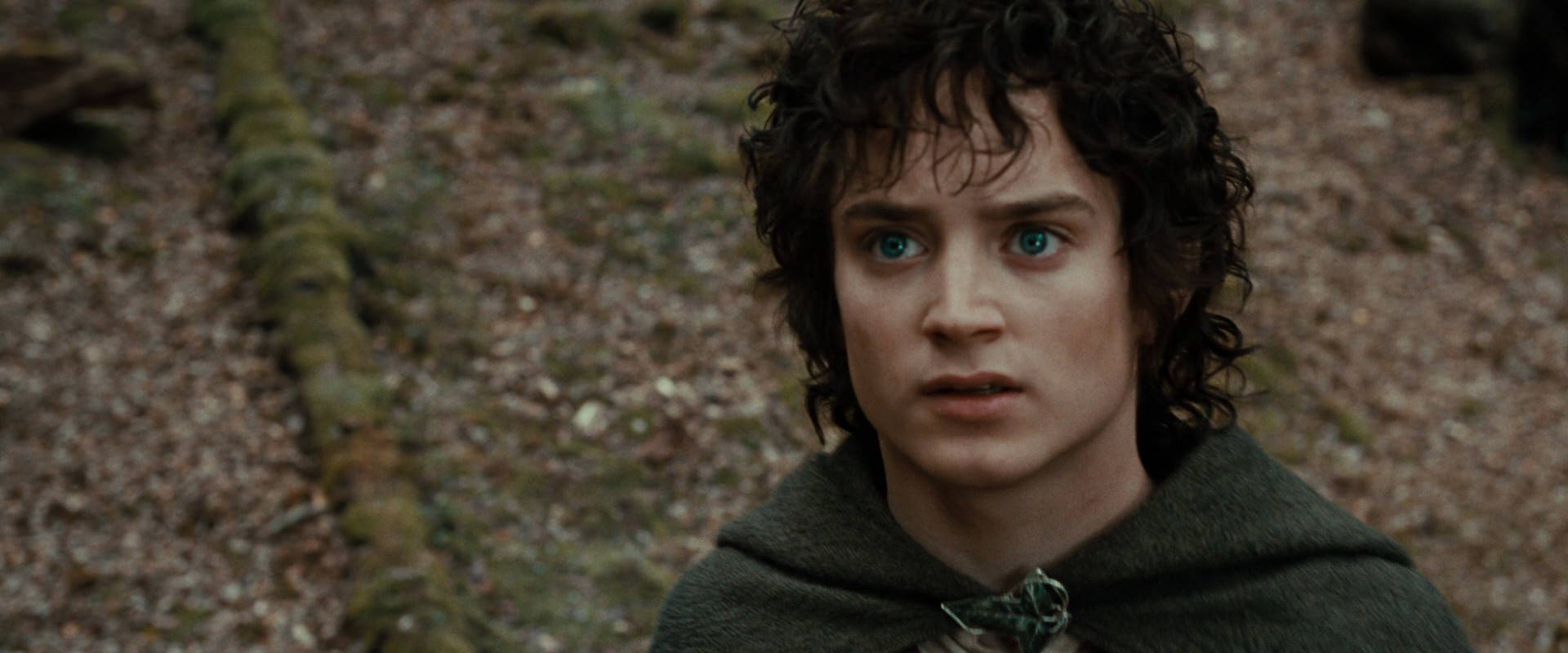 The Lord of the Rings: The Fellowship of the Ring (2001) HD screenshot 21467