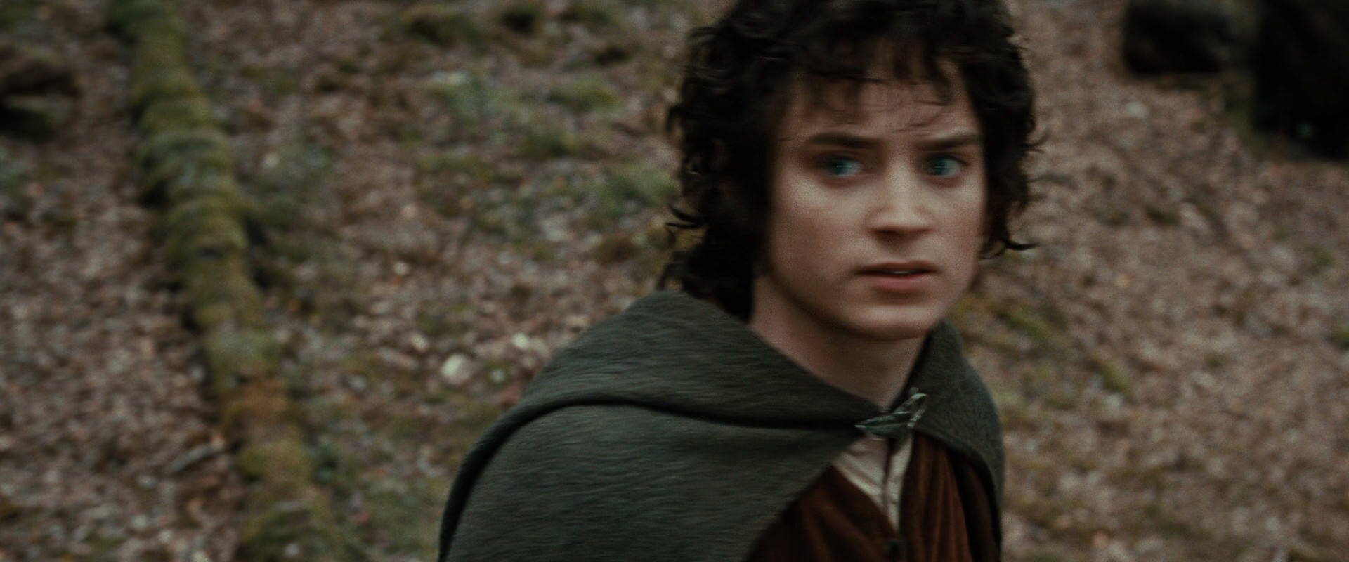 The Lord of the Rings: The Fellowship of the Ring (2001) screencap 21468