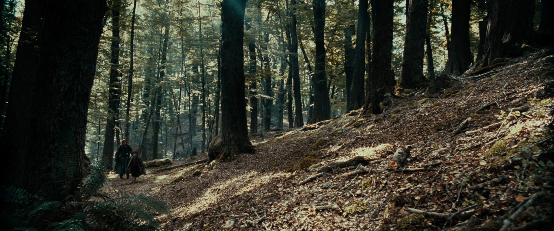 The Lord of the Rings: The Fellowship of the Ring (2001) HD screenshot 21470