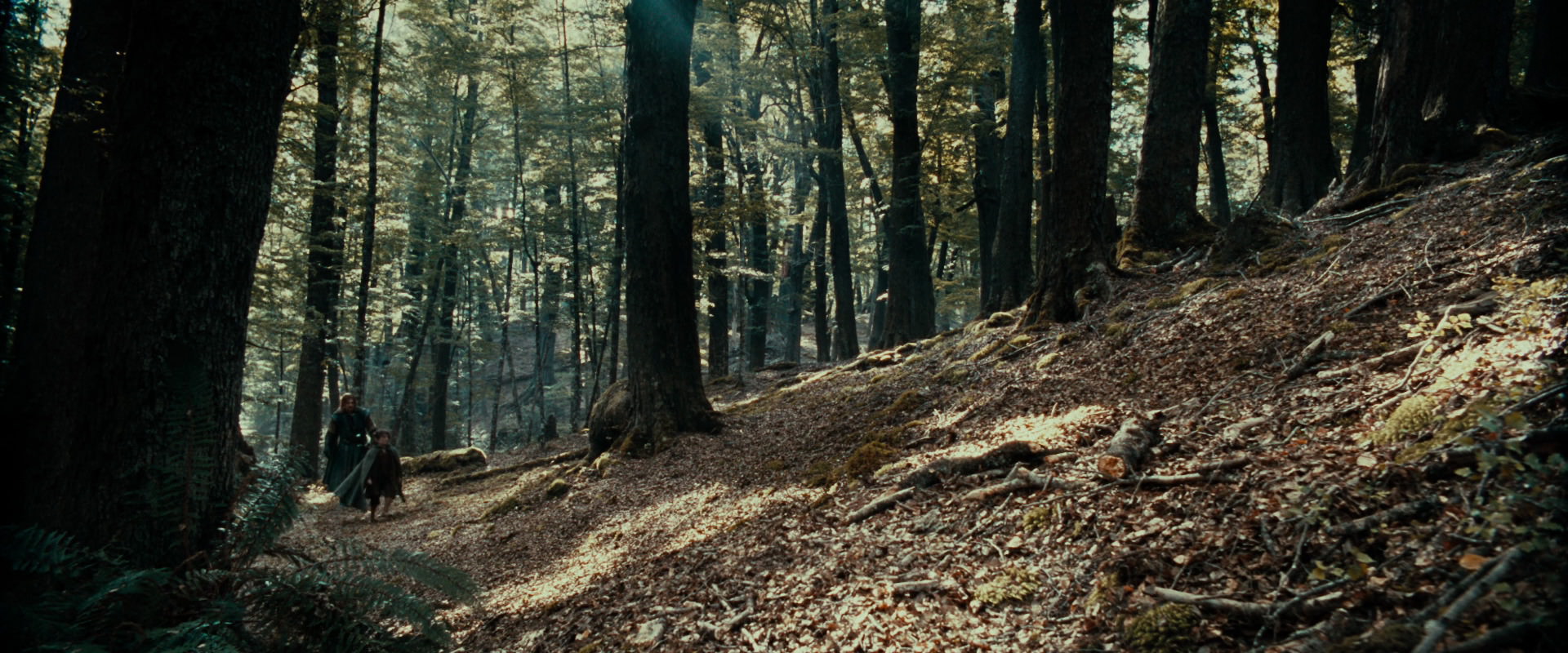 The Lord of the Rings: The Fellowship of the Ring (2001) screencap 21471