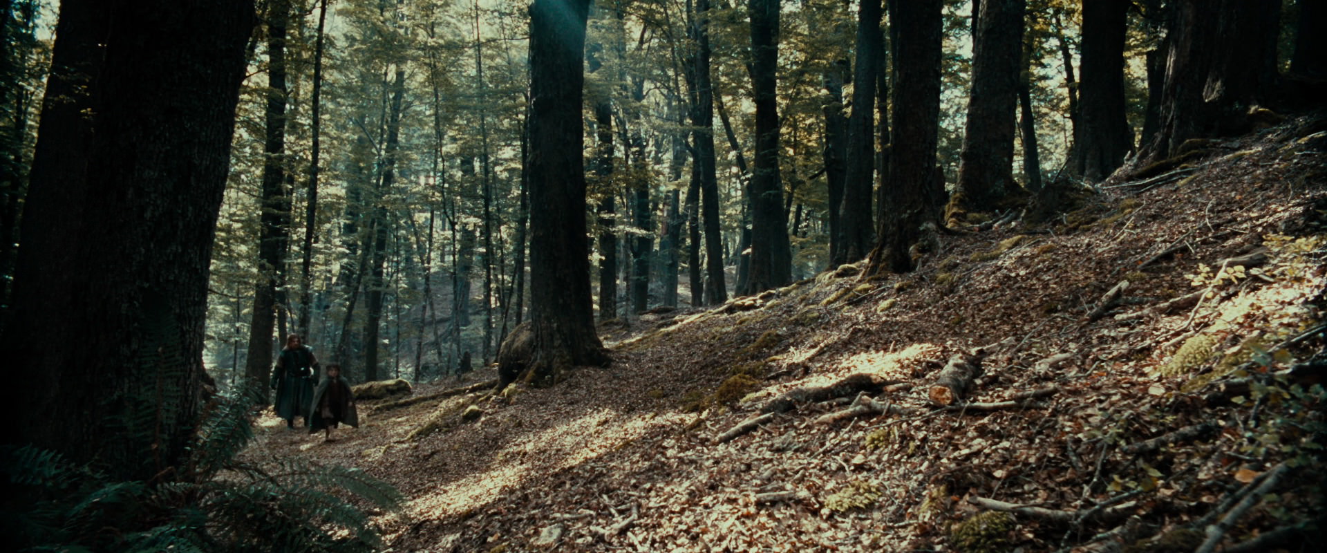 The Lord of the Rings: The Fellowship of the Ring (2001) movie still 21472