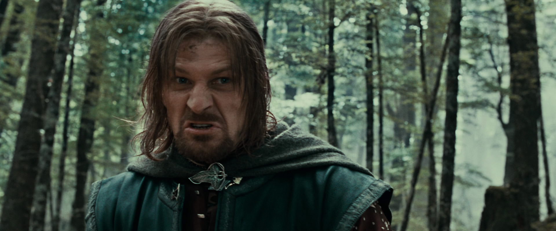 The Lord of the Rings: The Fellowship of the Ring (2001) screencap 21474