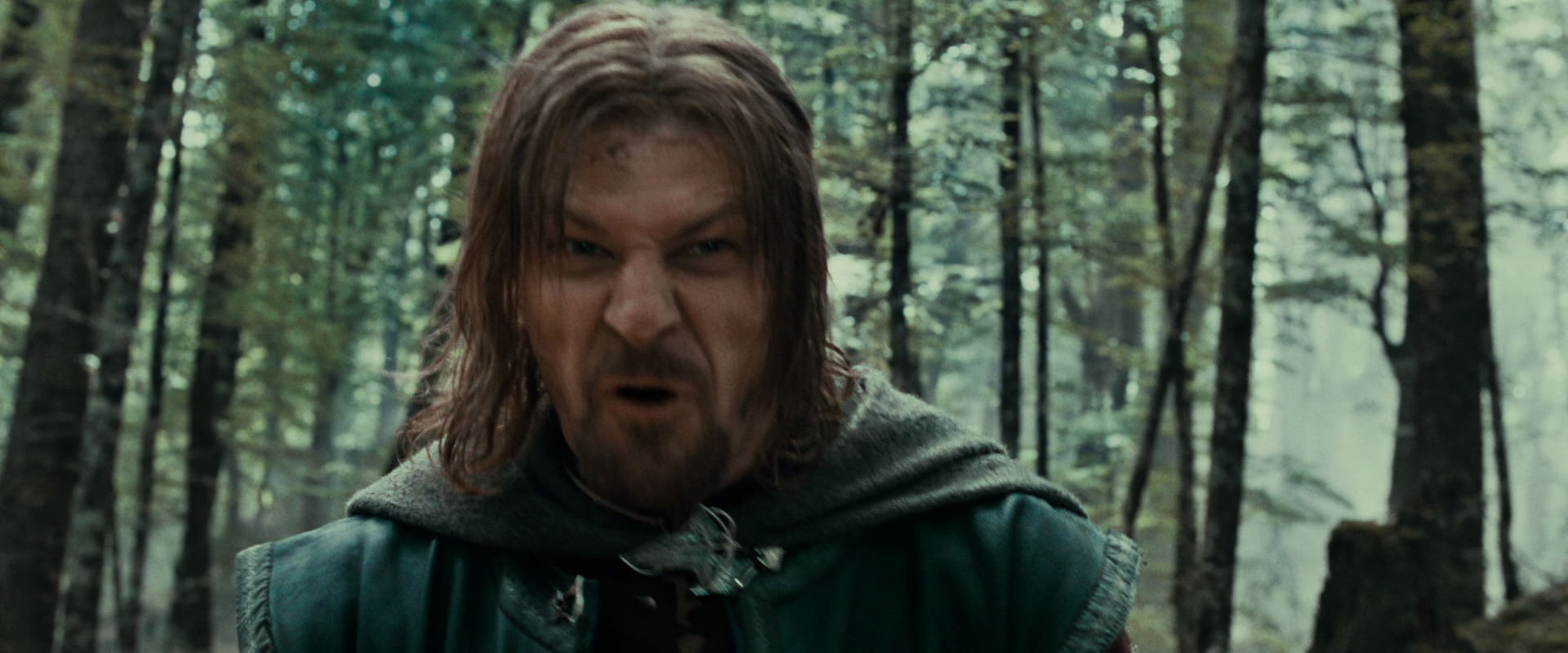 The Lord of the Rings: The Fellowship of the Ring (2001) movie still 21475