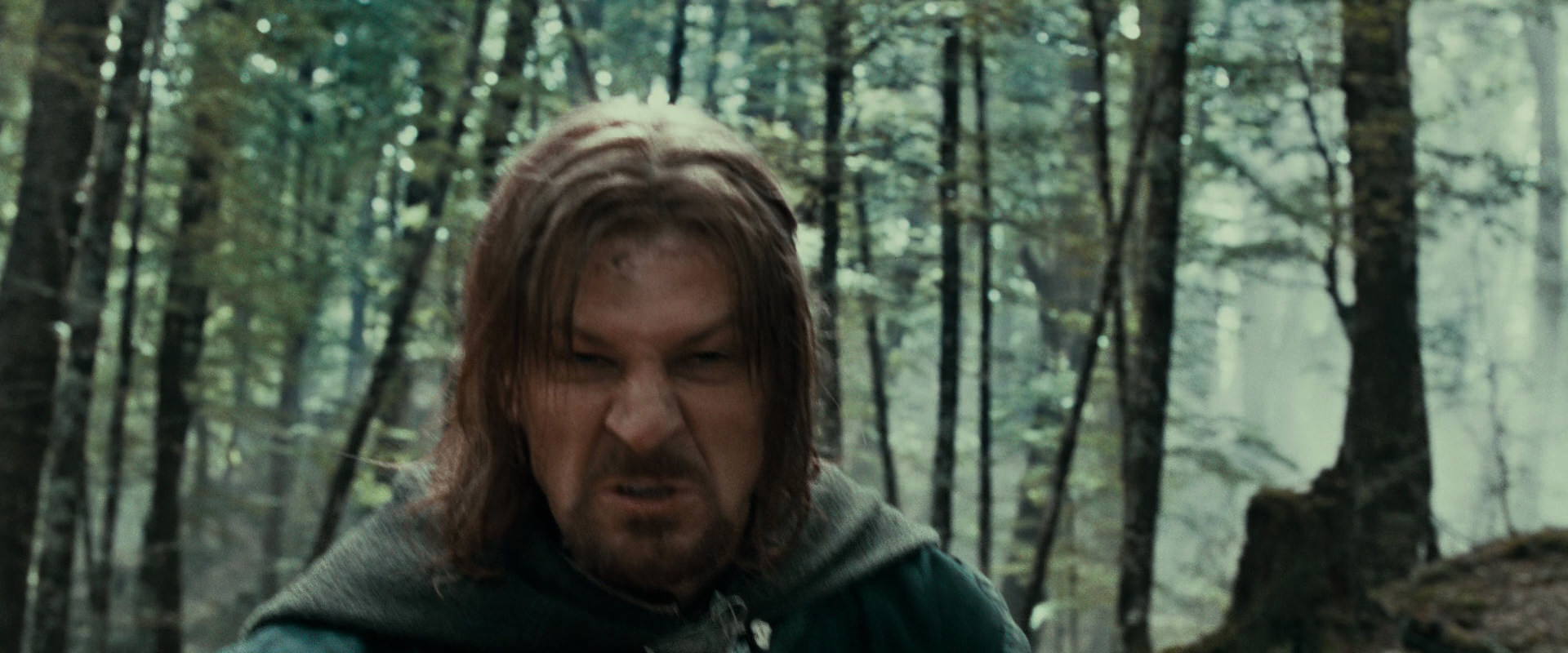 The Lord of the Rings: The Fellowship of the Ring (2001) HD screenshot 21476