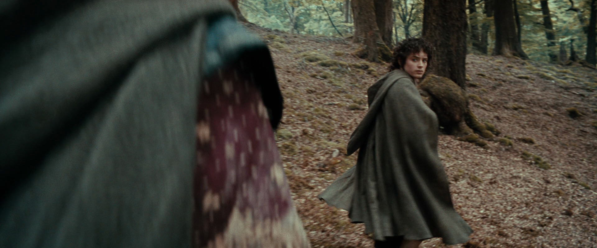 The Lord of the Rings: The Fellowship of the Ring (2001) screencap 21477