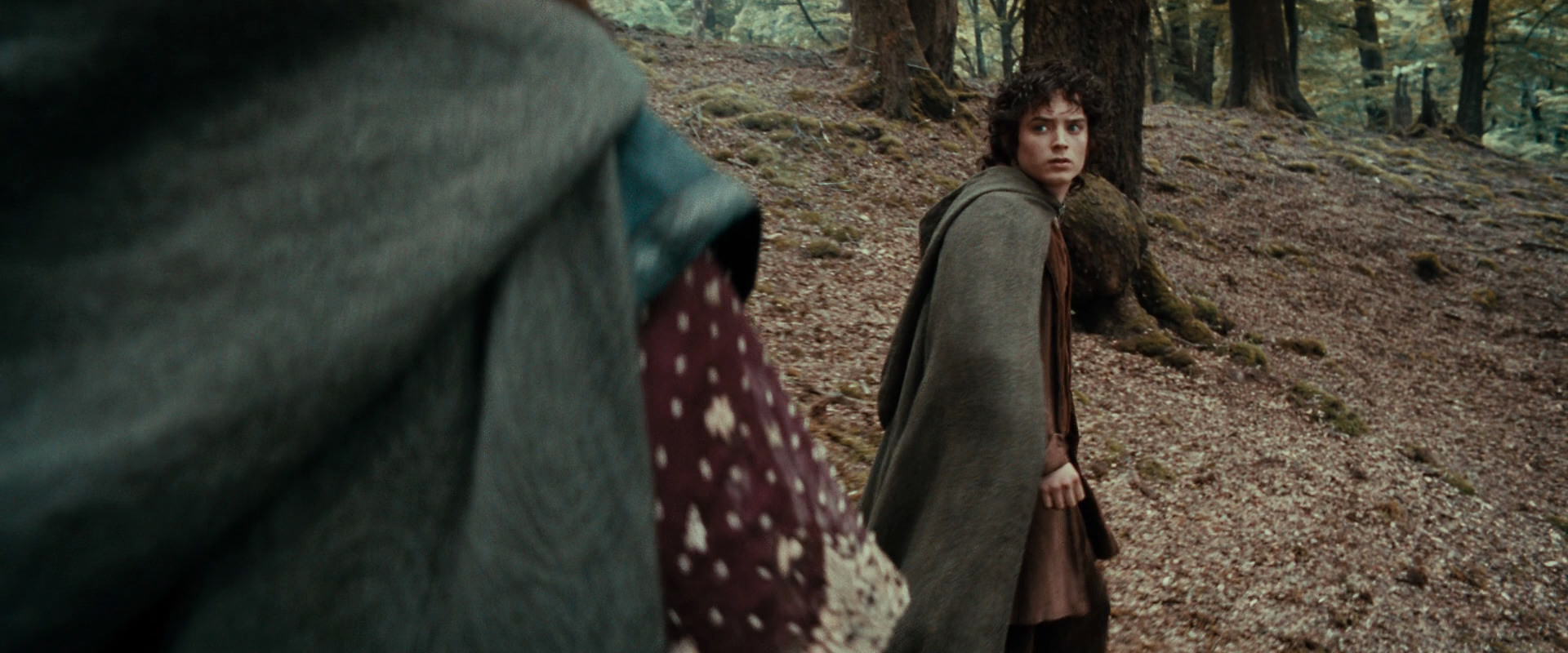 The Lord of the Rings: The Fellowship of the Ring (2001) movie still 21478