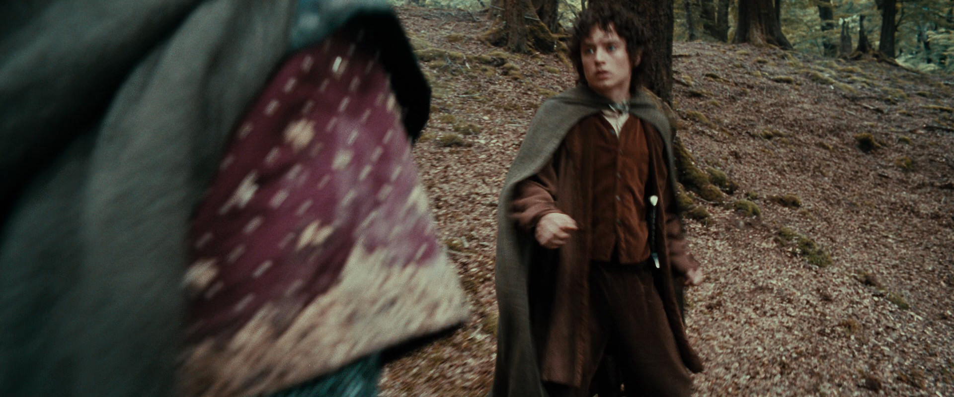 The Lord of the Rings: The Fellowship of the Ring (2001) HD screenshot 21479