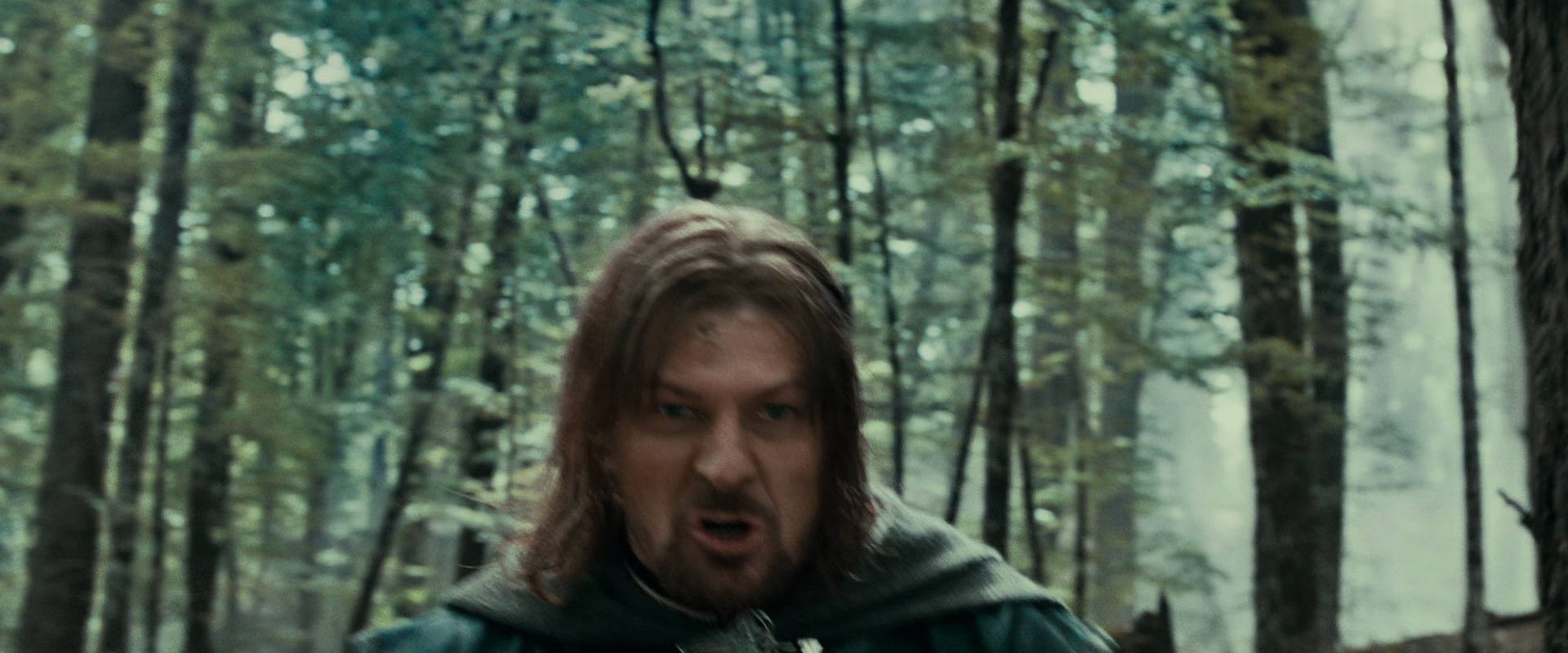 The Lord of the Rings: The Fellowship of the Ring (2001) screencap 21480