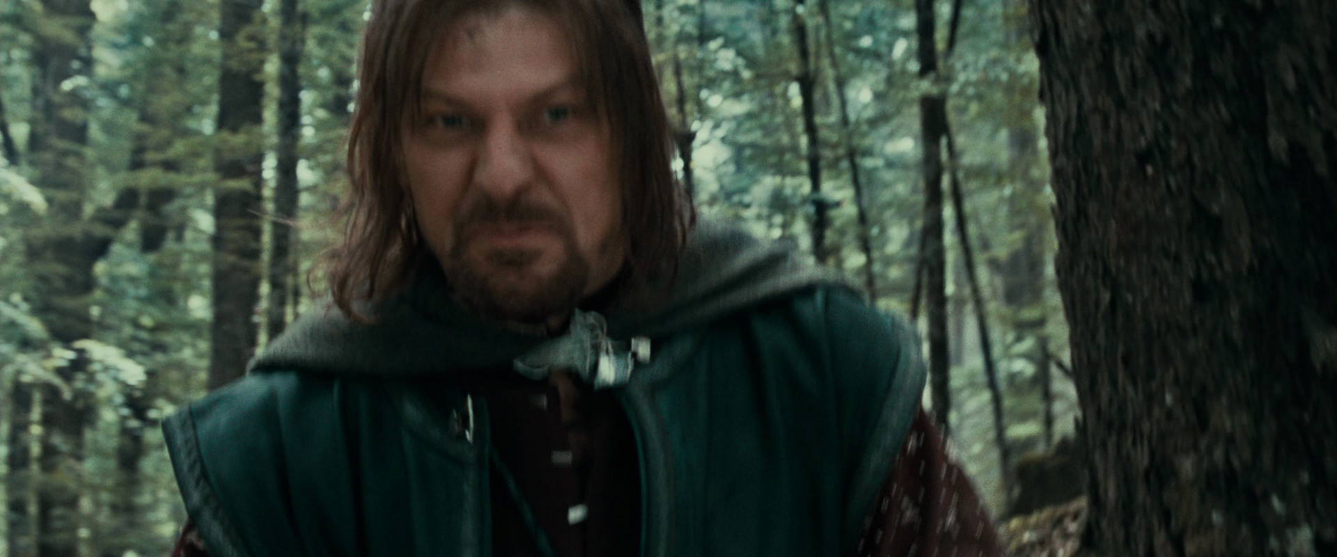 The Lord of the Rings: The Fellowship of the Ring (2001) HD screenshot 21482