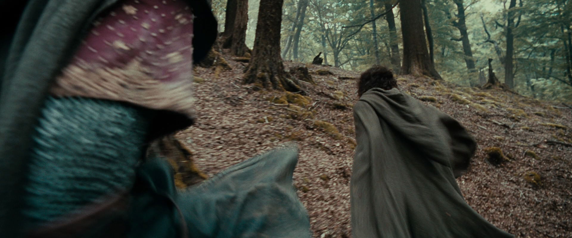 The Lord of the Rings: The Fellowship of the Ring (2001) screencap 21483