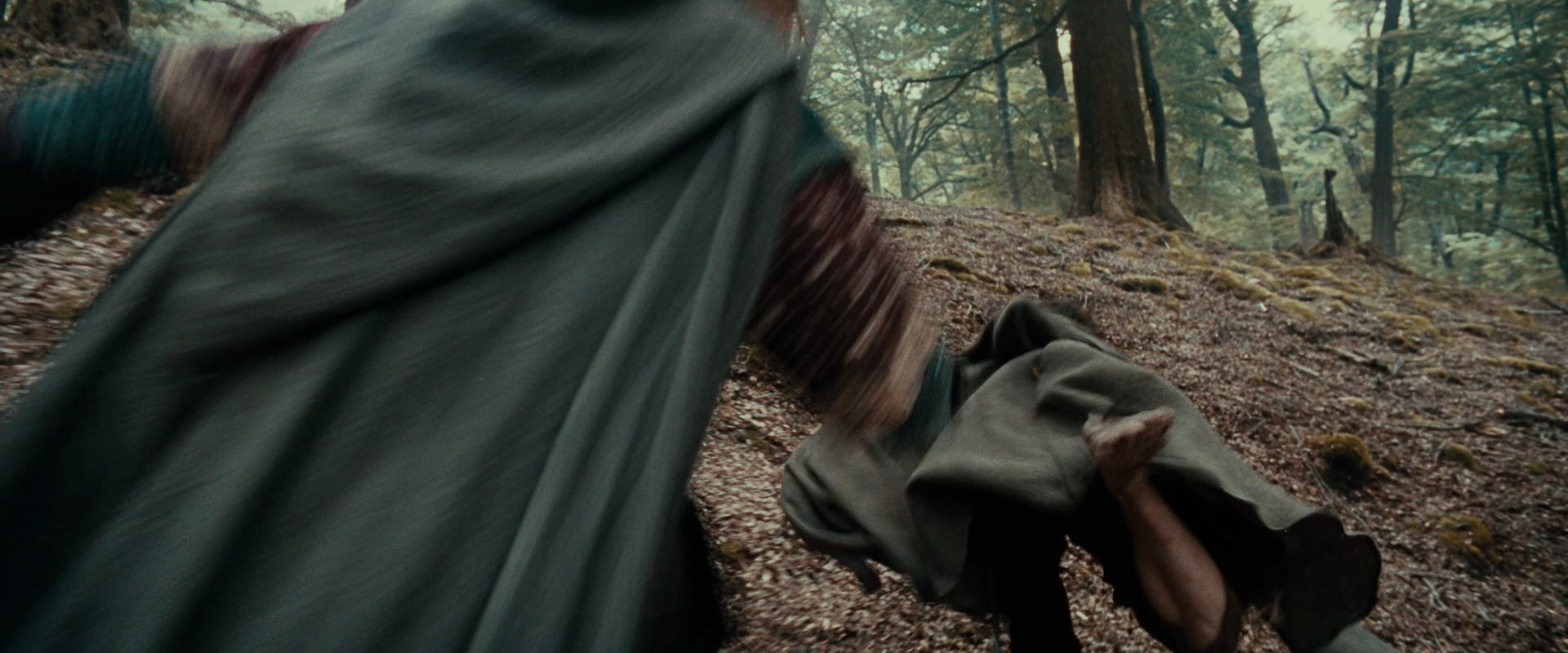 The Lord of the Rings: The Fellowship of the Ring (2001) movie still 21484