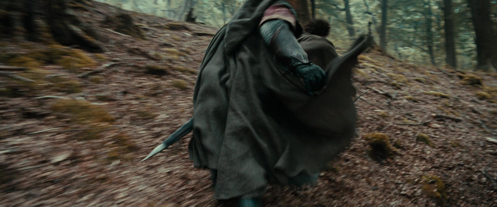 The Lord of the Rings: The Fellowship of the Ring (2001) screencap 21486