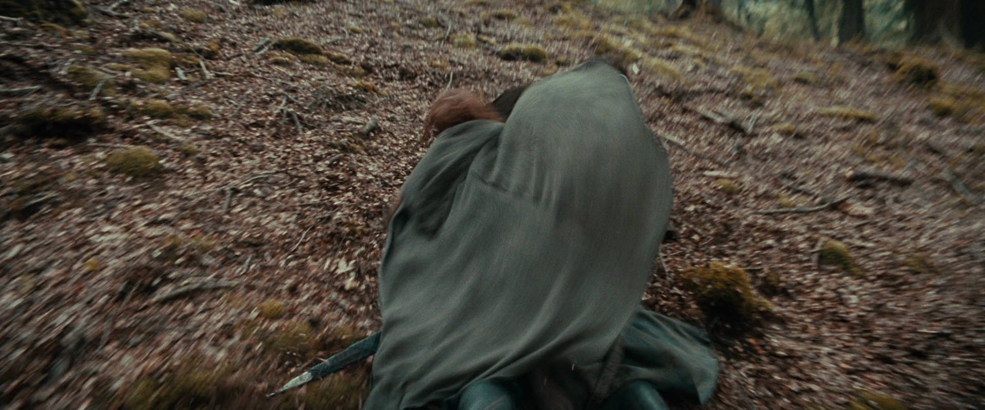 The Lord of the Rings: The Fellowship of the Ring (2001) movie still 21487