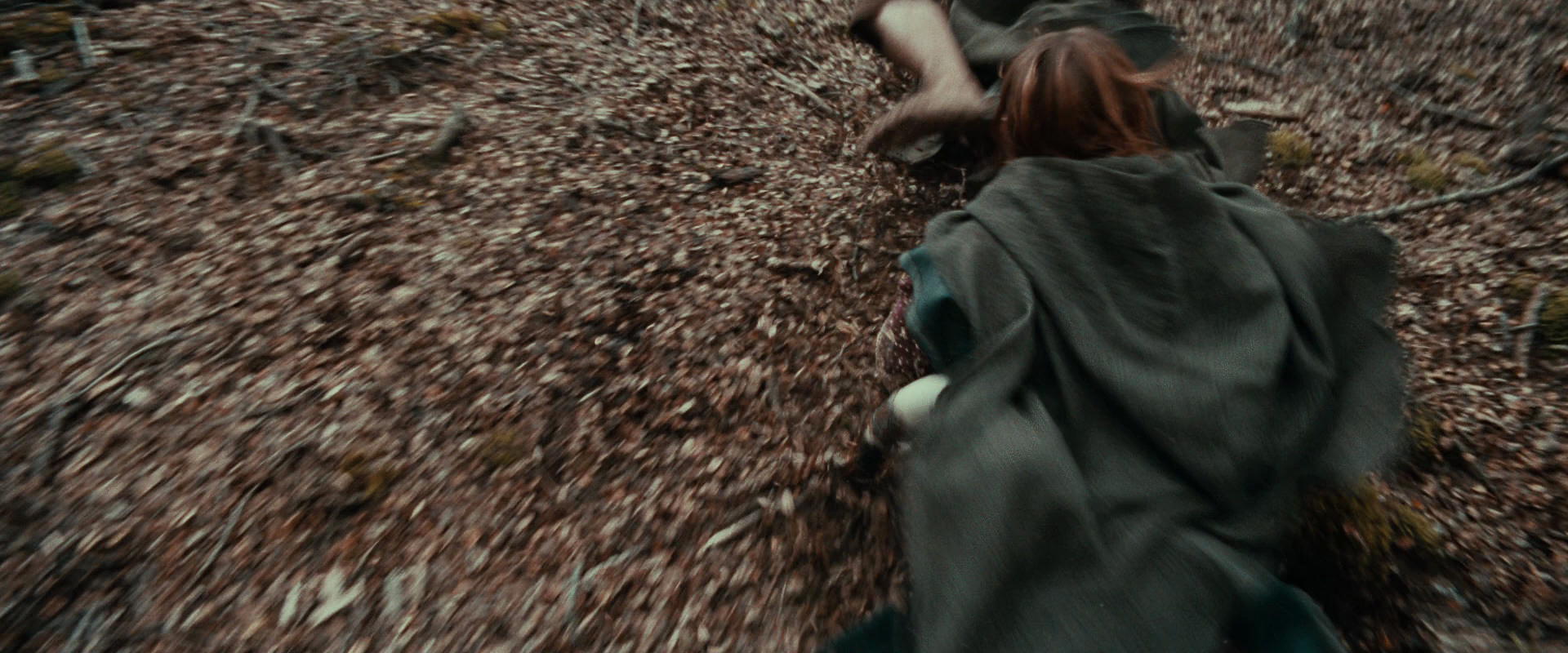 The Lord of the Rings: The Fellowship of the Ring (2001) HD screenshot 21488