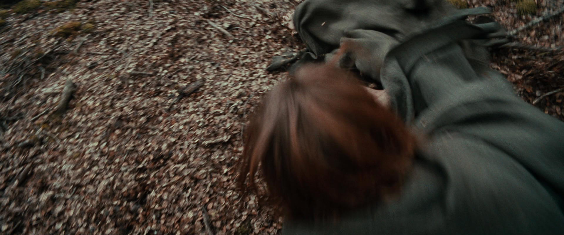 The Lord of the Rings: The Fellowship of the Ring (2001) screencap 21489