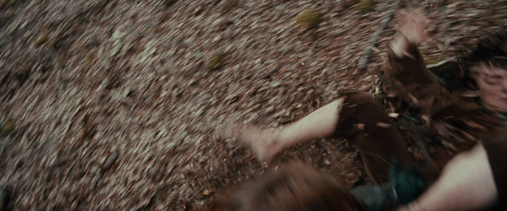 The Lord of the Rings: The Fellowship of the Ring (2001) movie still 21490